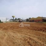 Terreno, 5000 m² - venda por R$ 4.000.000,00 ou aluguel por R$ 30.000,00/mês - Boa Vista - Ponta Grossa/PR