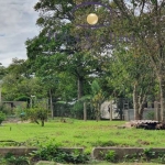 Terreno à venda na Rua dos Badejos, 180, Jurerê Internacional, Florianópolis