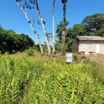 Terreno à venda em Itapoá - Balneário Brandalize