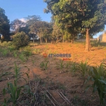 Terreno, 3800 m² - venda por R$ 2.150.000,00 ou aluguel por R$ 20.700,00/mês - Jardim Professor Benoá - Santana de Parnaíba/SP