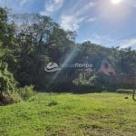 Terreno grande à venda no Canto da Lagoa, com viabilidade residencial ou comercial, Lagoa da Concei