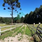 Chácara para Venda em Tijucas do Sul, Serra do Araçatuba, 2 dormitórios, 1 banheiro