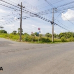 Terreno para alugar, 12141.00 m2 por R$4500.00  - Boneca Do Iguacu - Sao Jose Dos Pinhais/PR