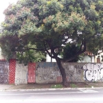 Terreno residencial para Venda na Vila Souza, ótima localização, ao lada da Avenida Inajar de Souza