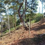 Terreno à venda, 577 m² por R$ 280.000,00 - Braunes - Nova Friburgo/RJ