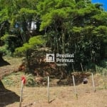 Terreno à venda, 689 m² por R$ 300.000,00 - Sao Jorge - Nova Friburgo/RJ