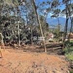 Terreno à venda, 591 m² por R$ 280.000,00 - Braunes - Nova Friburgo/RJ