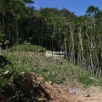 Terreno à venda, 780 m² por R$ 380.000,00 - São Pedro da Serra - Nova Friburgo/RJ