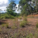 Terreno à venda, 20159 m² por R$ 290.000,00 - COLONIAL 61 - Nova Friburgo/RJ