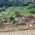 Terreno à venda, 465 m² por R$ 370.000,00 - Braunes - Nova Friburgo/RJ