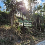 Terreno à venda, 640 m² por R$ 187.000,00 - Parque São Clemente - Nova Friburgo/RJ