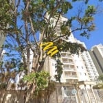 Cobertura à venda em Campinas, Taquaral, com 3 quartos, com 220 m², Ipanema