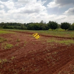 Terreno à venda em Paulínia, Betel, com 44000 m²