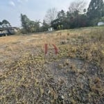 Terreno para Venda em São Bernardo do Campo, Batistini