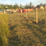 Terreno para Venda em Balneário Gaivota, sulmar, 1 dormitório