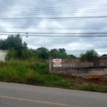 Terreno à venda, 252 m² por R$ 150.000,00 - Vila Glória - Campo Largo/PR