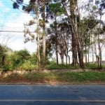 Terreno à venda, 4768 m² por R$ 2.150.000,00 - Vila Santa Terezinha - Campo Largo/PR