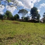 Terreno à venda, 2000 m² por R$ 689.000,00 - Jardim das Palmeiras - Campo Largo/PR