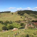 VENDA DE TERRENO NO MONTE NEGRO, EM SANTA ISABEL/SP, OPORTUNIDADE com 3.000m², poço artesiano e fossa séptica. CONSULTE-NOS.