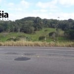 Sítio com 187.551 m2, sendo 100m de frente para rodovia asfaltada, disponível para venda - Cananéia/SP