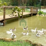 Terreno para Chácara a venda,  Varginha, Santo Amaro Da Imperatriz, Terreno em Condomínio Fechado, Sítio em Santo Amaro - CH1239