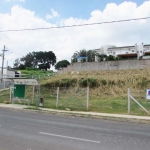 Terreno comercial para alugar na Avenida Joaquim Alves Corrêa, 300/360, Jardim Santo Antônio, Valinhos