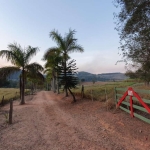 Fazenda à venda na Rua Doutor Constâncio Cintra, 863, Silvestre, Amparo