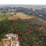 Terreno para Venda em Colombo, Colônia Faria