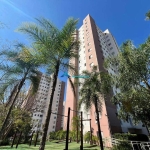 Apartamento a Venda C/ 2 Dorms, Andar Alto, Repleto de Móveis, Cond Doce Lar Bella Colonia