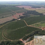 FAZENDA DE LARANJA A VENDA NA REGIÃO DE ITAPETININGA-SP, 170 ALQUEIRES, COM CASA SEDE E CASA DE CASEIRO