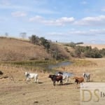 FAZENDA A VENDA EM TIETÊ-SP COM ÁREA TOTAL DE 81,5 ALQUEIRES, BOA TOPOGRAFIA E PRÓXIMA AO ASFALTO