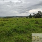 EXCELENTE SÍTIO A VENDA EM ITAPETININGA-SP, COM 16,5 ALQUEIRES, FORMADA EM PASTO, BOA TOPOGRAFIA, SOLO MISTO E CÓRREGO NO FUNDO