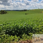 EXCELENTE SÍTIO A VENDA EM SÃO MIGUEL ARCANJO-SP, COM ÁREA DE 30 ALQUEIRES, SENDO 20 EM PLANTIO E TOPOGRAFIA SEMIPLANA A ONDULADA