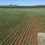 EXCELENTE FAZENDA A VENDA EM ITAÍ-SP, ÁREA TOTAL DE 50 ALQUEIRES,  TERRA VERMELHA, TOPOGRAFIA PLANA A SEMI PLANA, CASA SEDE E BARRACÃO