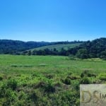 FAZENDA A VENDA NA REGIÃO DE ITAPETININGA-SP, FORMADA EM LAVOURA E PASTO, ÁREA TOTAL DE 50 ALQUEIRES, TOPOGRAFIA ONDULADA E DECLIVE SENTIDO ÁGUA