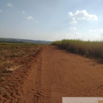 FAZENDA COM CANA NA REGIÃO DE PRESIDENTE PRUDENTE-SP, COM 512,03 ALQUEIRES, TOPOGRAFIA SEMIPLANA A LEVE ONDULAÇÃO E TERRA MISTA A ARGILOSA