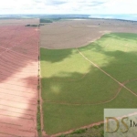 EXCELENTE FAZENDA COM CANA AS MARGENS DO RIO PARANÁ NO ESTADO DE SÃO PAULO, COM 697,7 ALQUEIRES DE ÁREA TOTAL E BENFEITORIAS