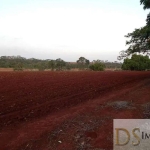 EXCELENTE SÍTIO A VENDA NA REGIÃO DE TATUÍ-SP! COM 15,70 ALQUEIRES, TOPOGRAFIA PLANA, TERRA VERMELHA E FUNDO COM RIBEIRÃO. IDEAL PARA HARAS!