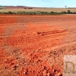 EXCELENTE FAZENDA EM CANA À VENDA EM PRESIDENTE PRUDENTE/SP: 1.275 ALQUEIRES DE OPORTUNIDADE