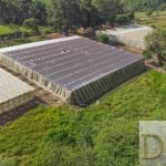 OPORTUNIDADE ÚNICA: SÍTIO DUPLO EM SÃO MIGUEL ARCANJO/SP - Agricultura e Pecuária - 10 alqueires - Benfeitorias - Documentação ok