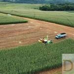 Fazenda Leiteira e Laticínio de 244,5 Alqueires à Venda na região de Itapetininga/SP - Excelente Oportunidade!