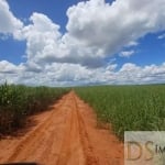 Fazenda de 403 alqueires em Pacaembu-SP: oportunidade única na região de Adamantina. Invista já!