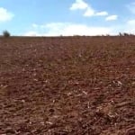 Fazenda à venda na Rua 1 de Maio, 023, Centro, Itapira