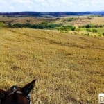 Fazenda à venda na das flores, 1, Centro, Garça