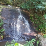 Terreno à venda em Pindamonhangaba, Bom Sucesso, 20000m²