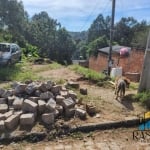 Terreno para Venda em Quatro Barras, ***Borda do Campo***