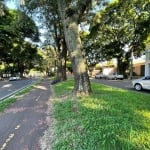 Sala comercial à venda na Avenida Brasil, 424, Zona 08, Maringá