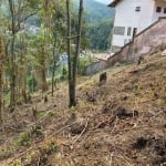 Terreno para Venda em Teresópolis, Quinta da Barra