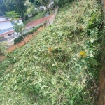 Terreno para Venda em Teresópolis, Iucas, 1 dormitório, 1 banheiro, 1 vaga