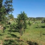 Terreno para Venda em Guapimirim, Cotia